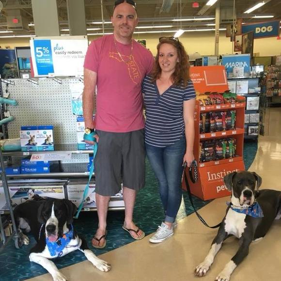 Meet your Posher, Brit-tany - Picture 2 of 4